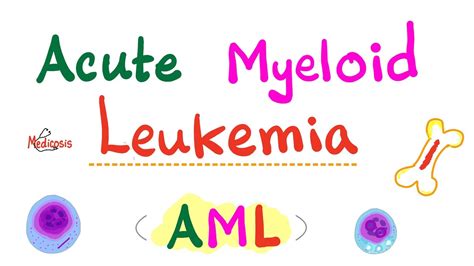 Acute Myeloid Leukemia Aml Auer Rods Myeloperoxidase Positive Hematology And Oncology