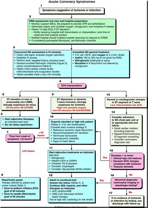 Acls Guidelines 2010