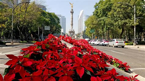 Feria De La Nochebuena En Cdmx