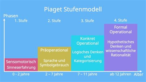 Kognitive Entwicklung Wie Verl Uft Sie Mit Video