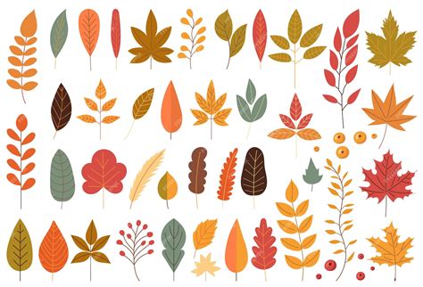 Premium Vector | Set silhouette autumn leaves vector