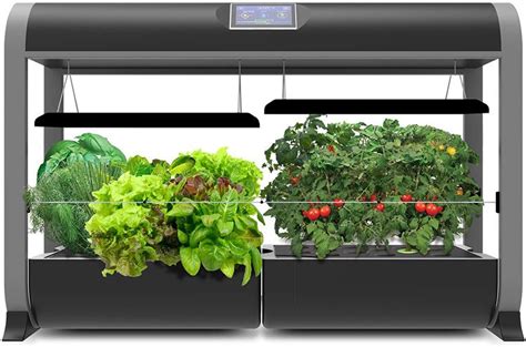 The 7 Best Indoor Garden Systems For Growing Edible Plants At Home