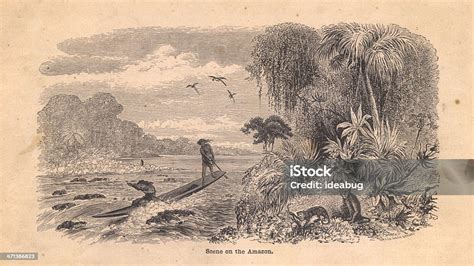 Old Black And White Illustration Of Scene On Amazon River Stock