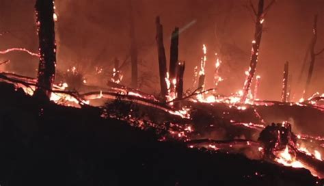 Venafro IS Incendio boschivo in località Vallecupa 17 09 21