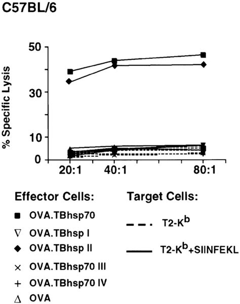 Examination Of Ova Specific T Cell Responses In Mice Immunized With Ova