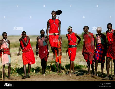 Maasai Warriors Dancing And Jumping Kenya Stock Photo Royalty Free