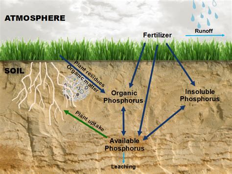 Louisiana Home Lawn Series Phosphorus