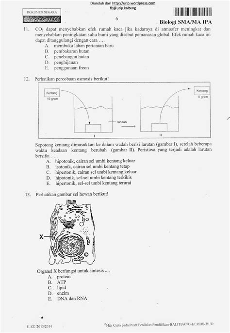 Biologi Gonzaga Contoh Soal Try Out Biologi Un 2015