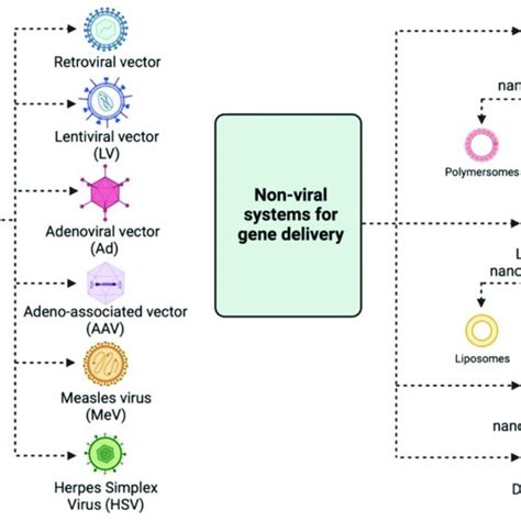 Viral And Non Viral Systems For Gene Delivery Download Scientific