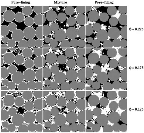 Cross Sections Of Computer Generated Models Illustrating The Modelling