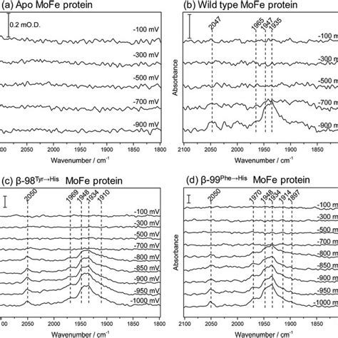 Infrared Spectra Recorded In Situ In The ATR IR Spectroelectrochemical