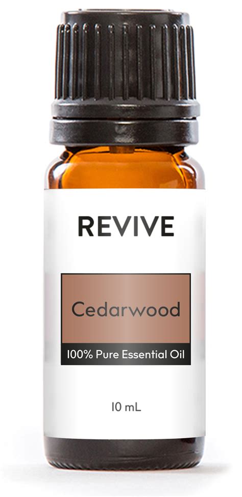 5 Best Essential Oils For Ants | REVIVE