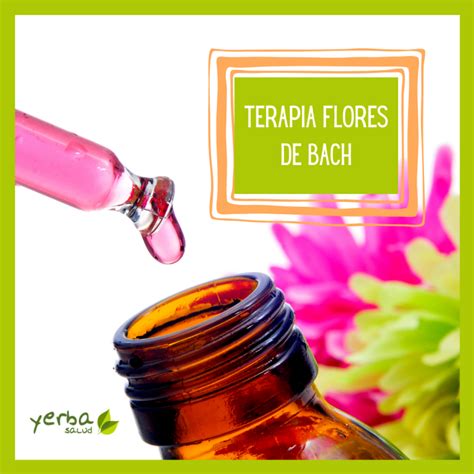 Conoces Los Beneficios De La Terapia Con Flores De Bach Yerbasalud