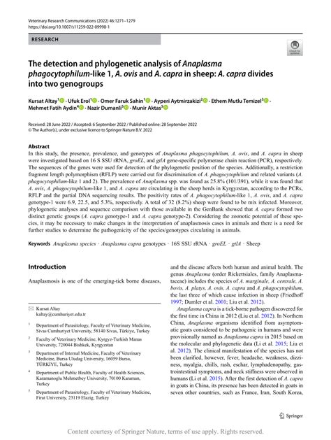 The Detection And Phylogenetic Analysis Of Anaplasma Phagocytophilum