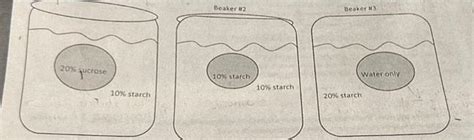 Solved which solution is hypertonic to the cell | Chegg.com