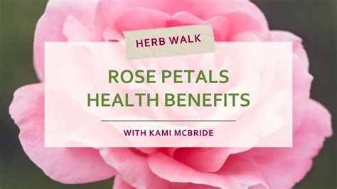 Rose Petals Benefits Herbal Medicine YouTube Tea Recipes Herbal