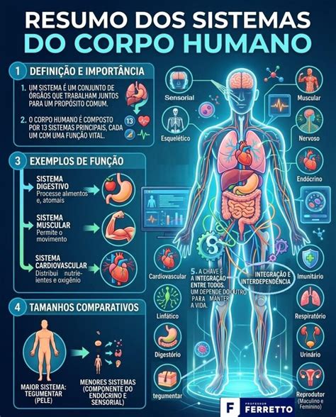 Resumo Dos Sistemas Do Corpo Humano