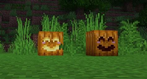 Cute Pumpkins [bedrock Edition] Minecraft Texture Pack