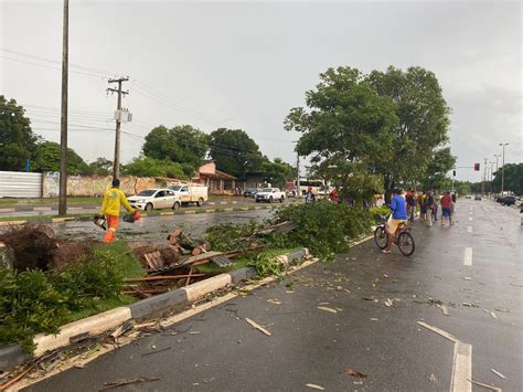 Chuva Com Ventania Derruba árvores E Causa Transtornos Em Boa Vista