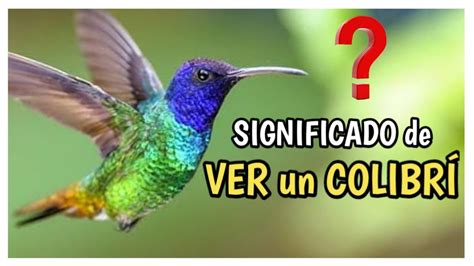 Significado de VER un COLIBRÍ Que significa el Colibrí YouTube