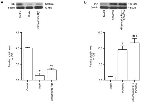 Ginsenoside Rg1 Promotes β‑amyloid Peptide Degradation Through