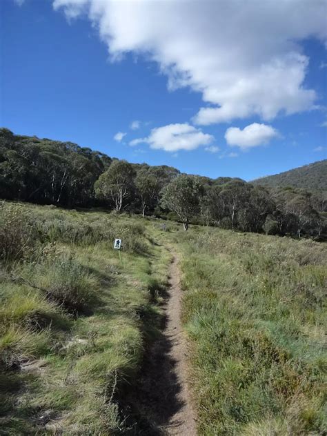 Bridle Trail Loop Walking Track