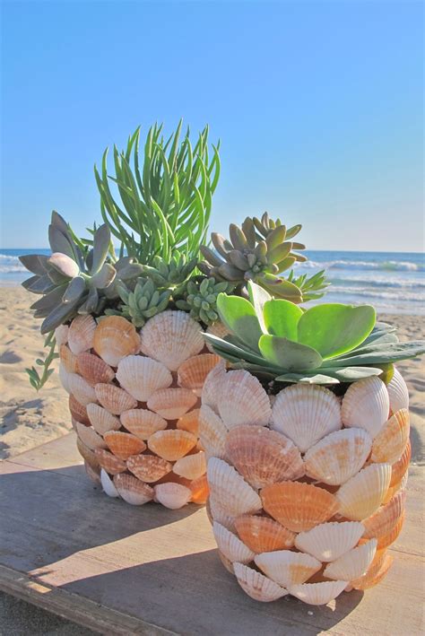 50 Best Succulent Garden Ideas for 2022