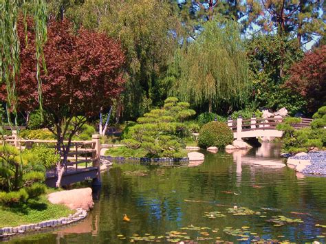 CSULB Japanese Garden by gamefan23 on DeviantArt