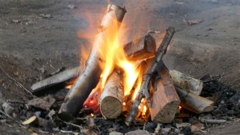 Forest School Activities Fire And Pedagogy Online Video Training T