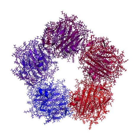 C Reactive Protein Advy