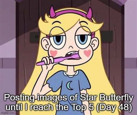 Starbutterfly Memes And S Imgflip