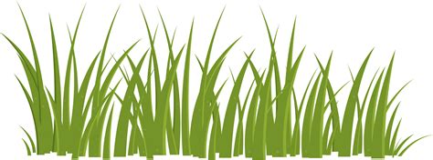 Cartoon Grass Leaves Clip Art 21830921 Png