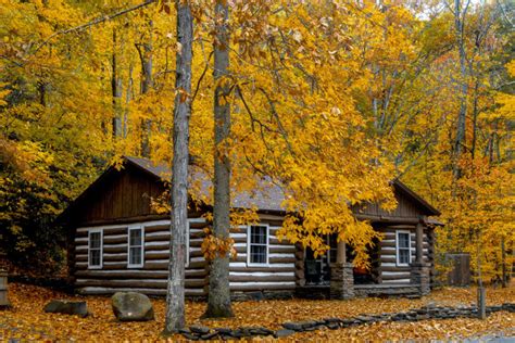 Pet Friendly Cabins In West Virginia State Parks – Cabin Photos Collections