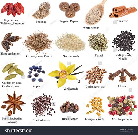 Collection Set Heap Spices Names Close Stock Photo 71156488 - Shutterstock