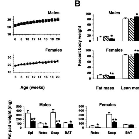 Growth And Body Composition Of Control And Mch1r Mice Maintained On