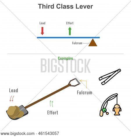 Third Class Lever Vector & Photo (Free Trial) | Bigstock