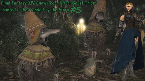 Final Fantasy Xiv Endwalker Qitari Beast Tribe Hunted Or Befriended