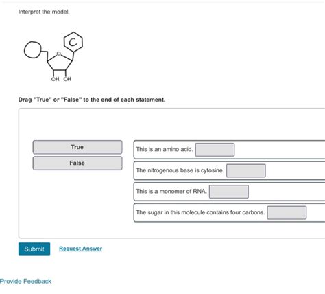 Solved Making Models: Drawing Nucleotides Part A Four | Chegg.com