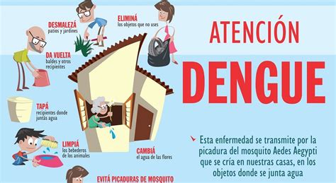 Reiteran Recomendaciones Para Evitar La Proliferación Del Dengue