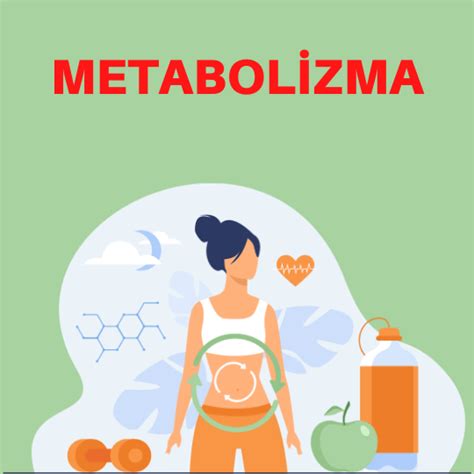 Metabolizma Prof Dr Nevrez Koylan