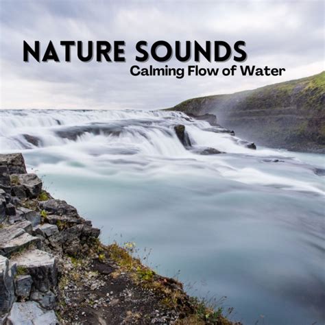 Snoozy Ripple música e letra de Nature Sounds Nature Music Music For