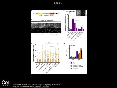 Julyun Oh So Jung Lee Rodney Rothstein Lorraine S Symington Ppt Download