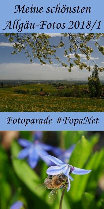 Fotoparade Meine Sch Nsten Allg U Fotos Halbjahr Fopanet