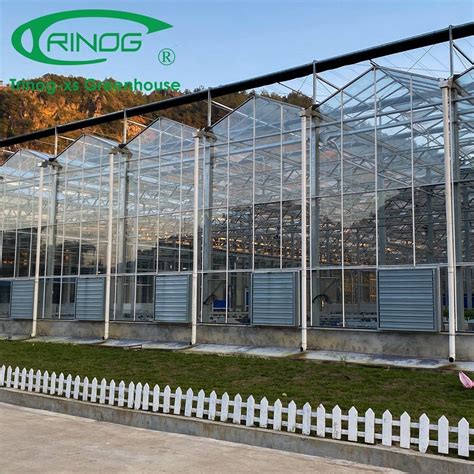 Low Cost Agricultural Multi Span Galvanized Steel Pipe Structure Glass