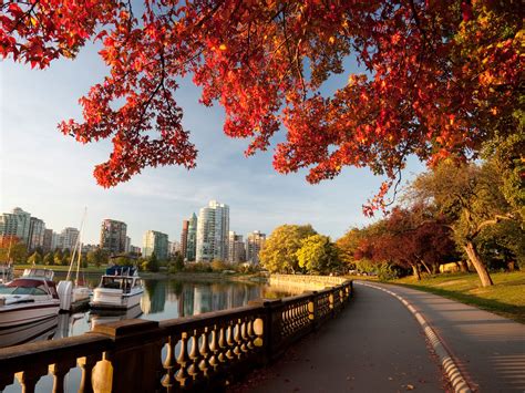 Beautiful Fall Morning In Vancouver Rpics