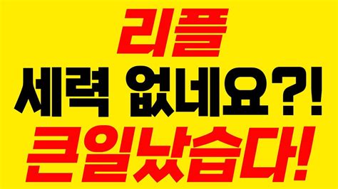 리플 지금 움직임에 이유가 있었습니다 리플 리플코인 리플전망 리플급등 리플매도 Youtube