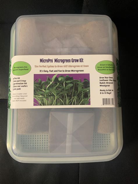 Microgreen Growing Kit Etsy