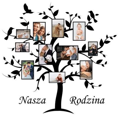 Naklejki na ścianę Drzewo Genealogiczne ramki 5046763530