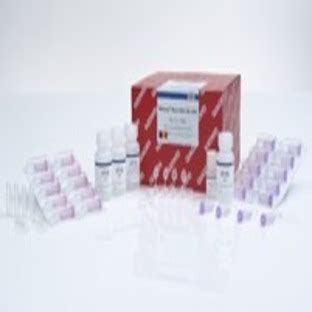 Hristiyanlık Gülümsemek ortalama qiagen rneasy mini kit 50 Tut elbise Yüzde