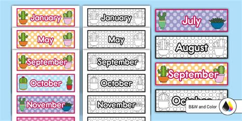 Succulent Months Of The Year Bulletin Board Labels Twinkl